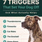 The Calm Dog Playbook (Free Gift)