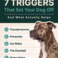 The Calm Dog Playbook (Free Gift)