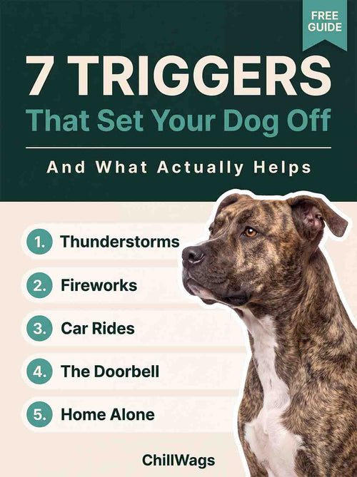 The Calm Dog Playbook (Free Gift)