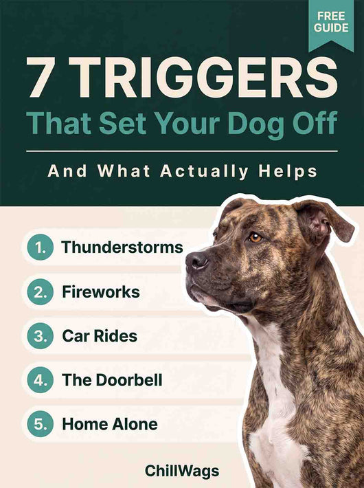 The Calm Dog Playbook (Free Gift)