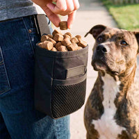 Treat Pouch (Free Gift)
