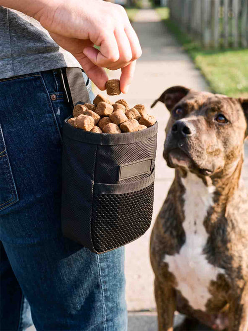 Treat Pouch (Free Gift)